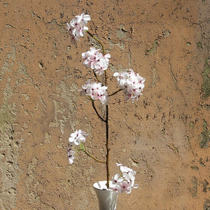 White Cherry Blossom Stem