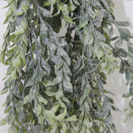 Boxwood Cascade 105 cm