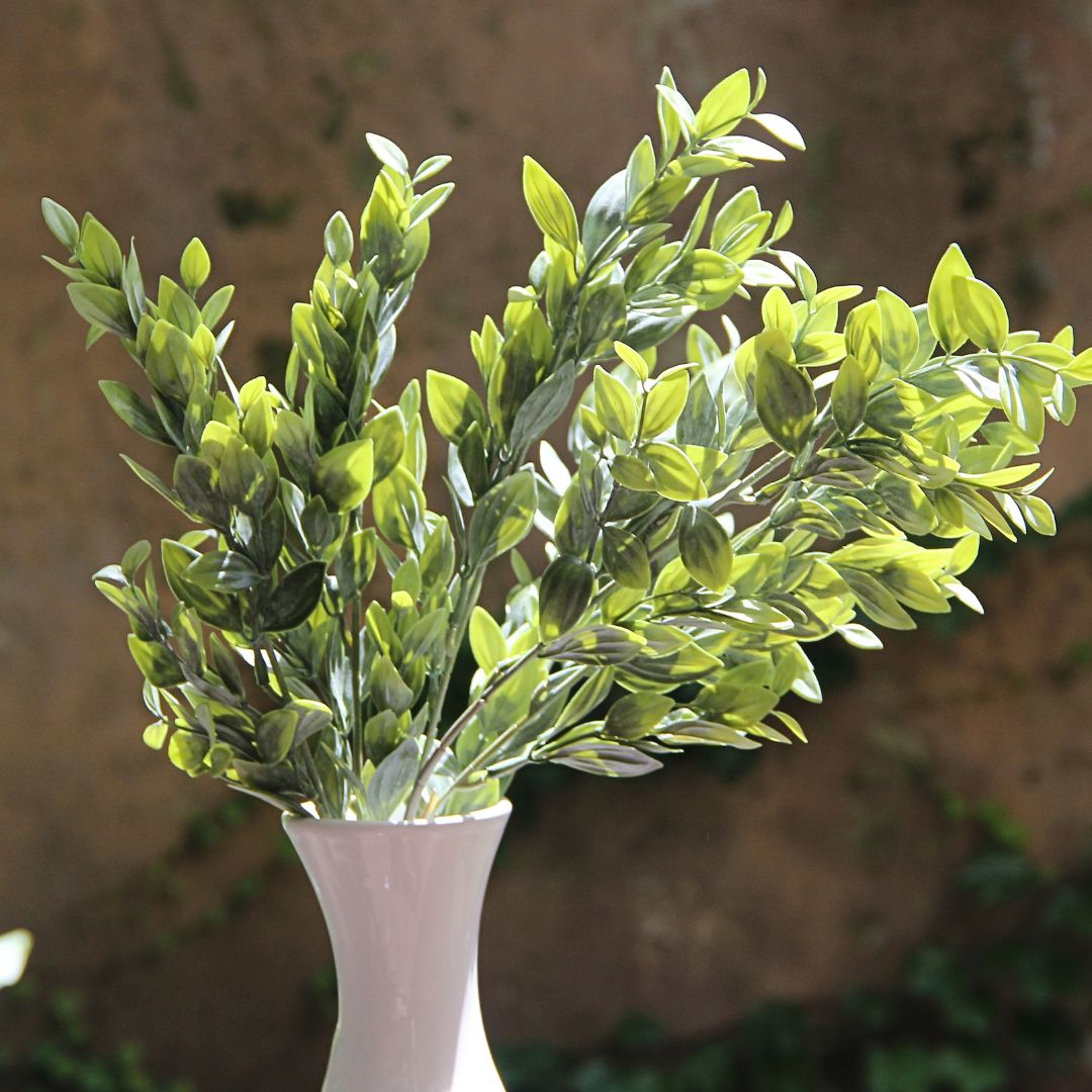 Natural Green Box Branch