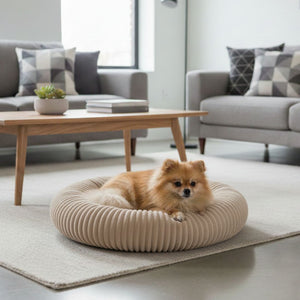 Cama Zen Confort Crema Chica