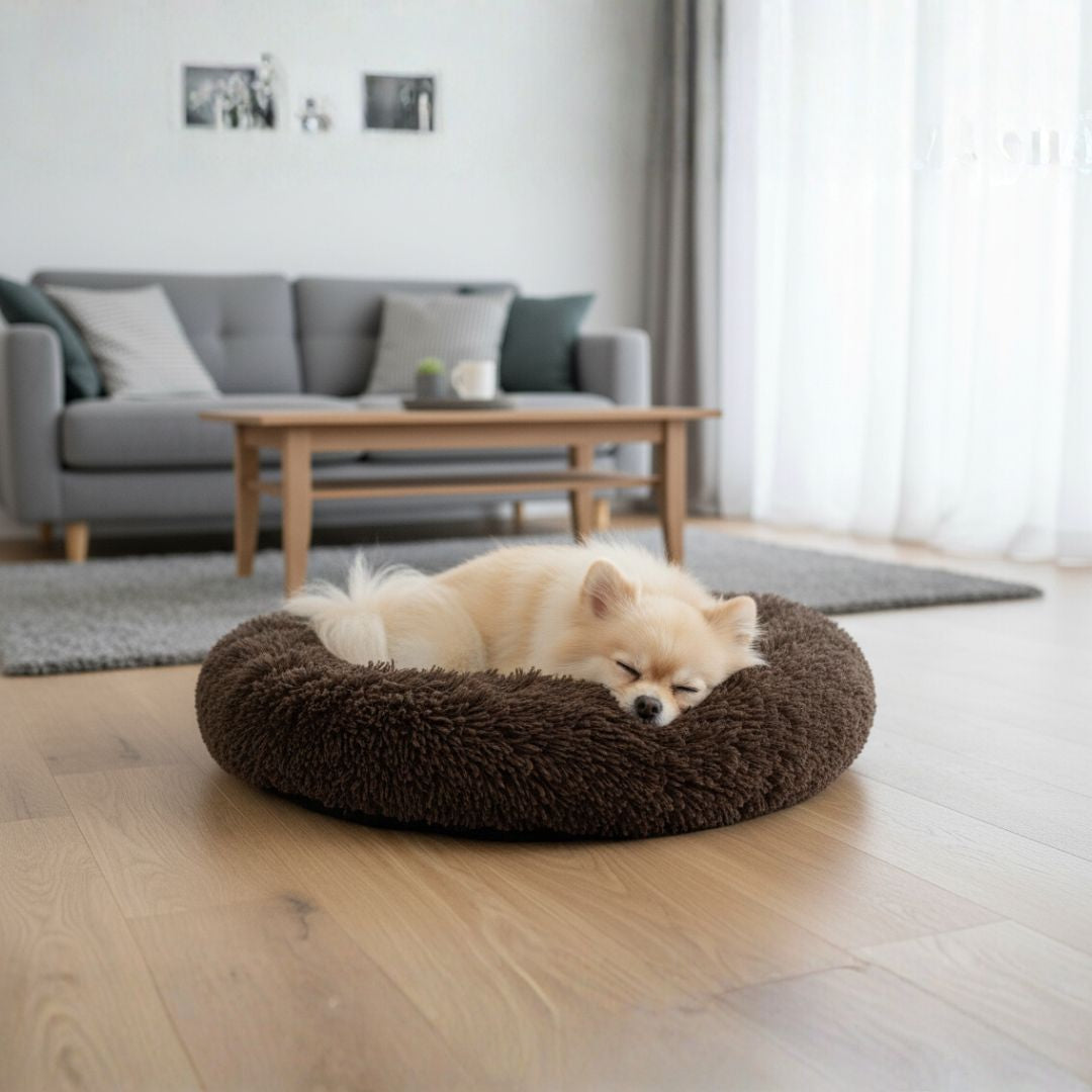 Cama Cozy Dream Chocolate Chica