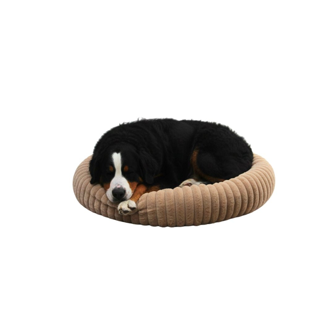 Cama Zen Confort Crema Grande