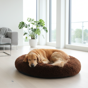 Cama Cozy Dream Chocolate Grande