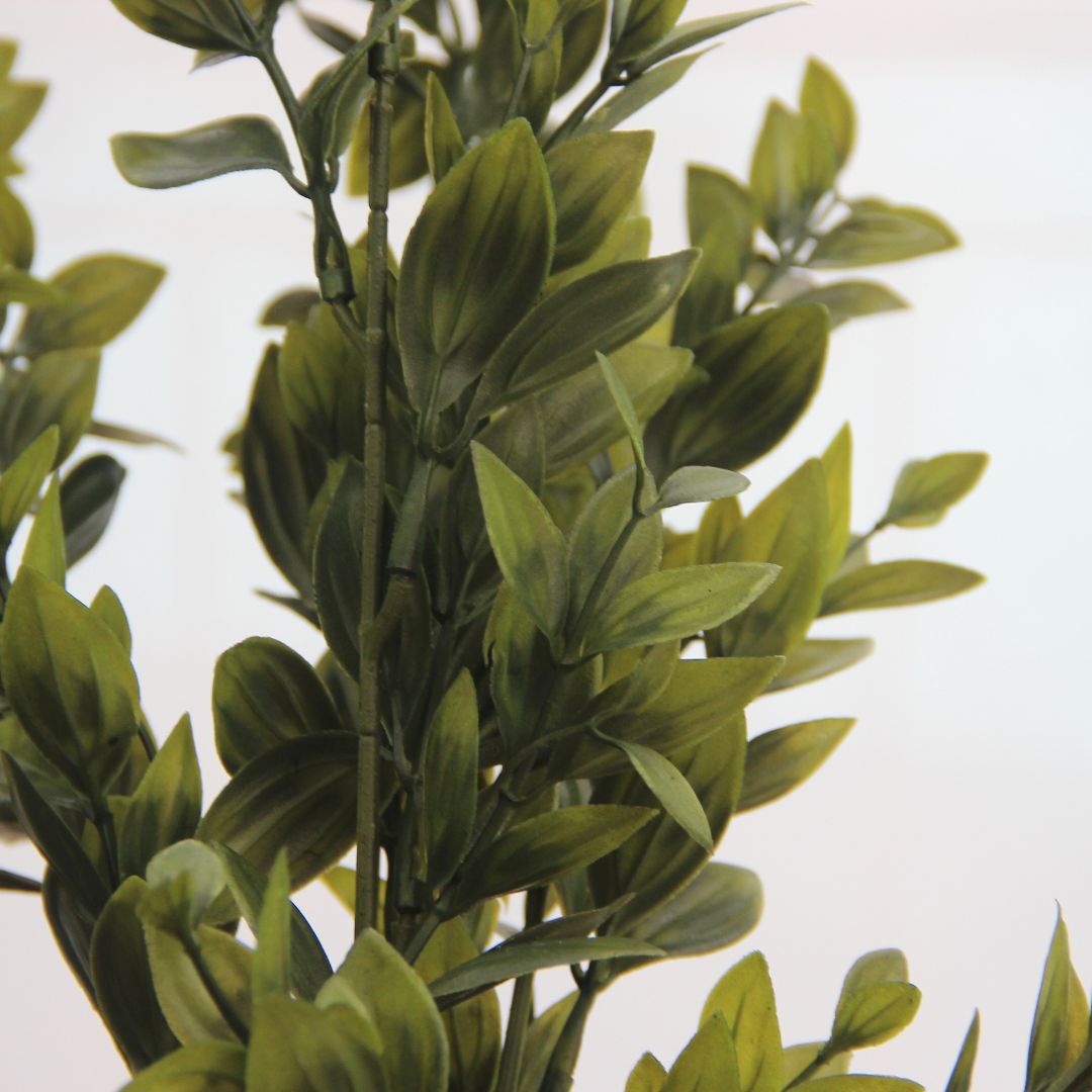 Deep Green Box Branch