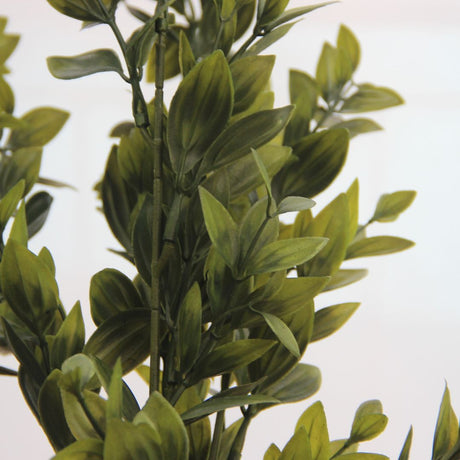 Deep Green Box Branch