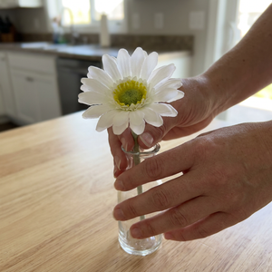 Daisy White 25 cm