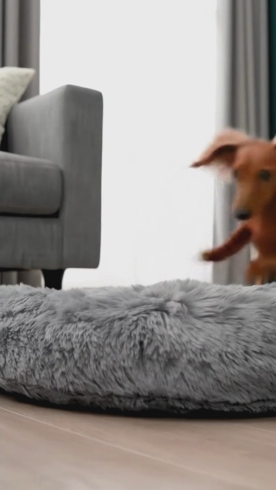 Cama Cozy Dream Gris Chica