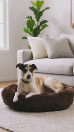 Cama Cozy Dream Chocolate Grande