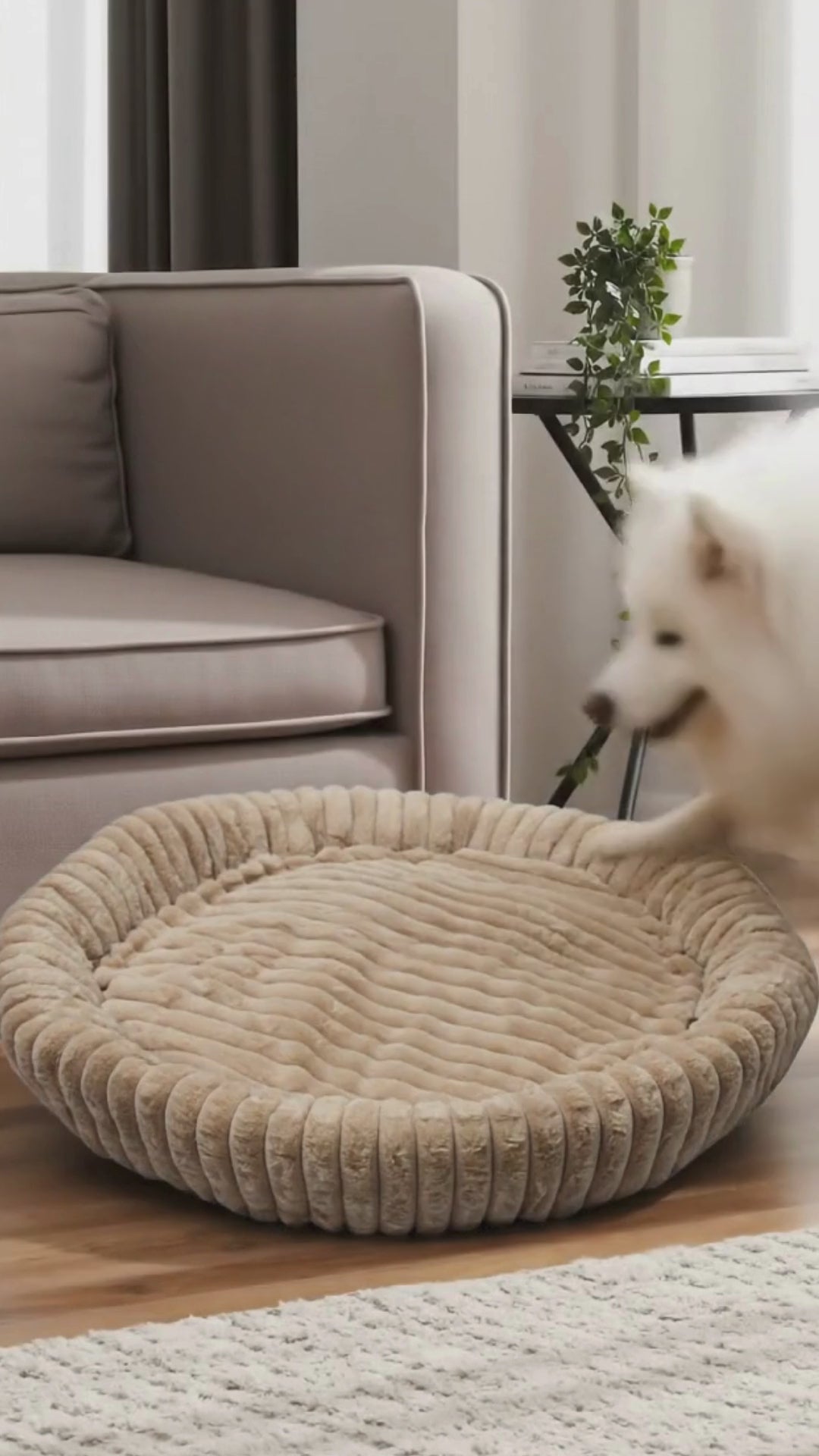 Cama Zen Confort Crema Grande