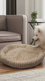 Cama Zen Confort Crema Grande