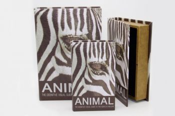 Set x 3 Cajas Animal